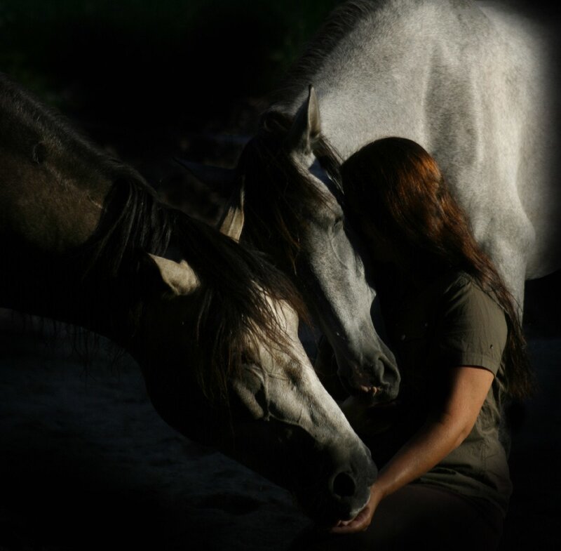 Woman with Two Horses — Gray
