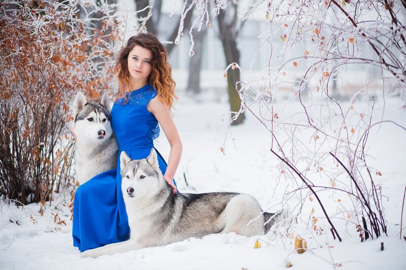 Woman with Two Huskies — Blue, Serene