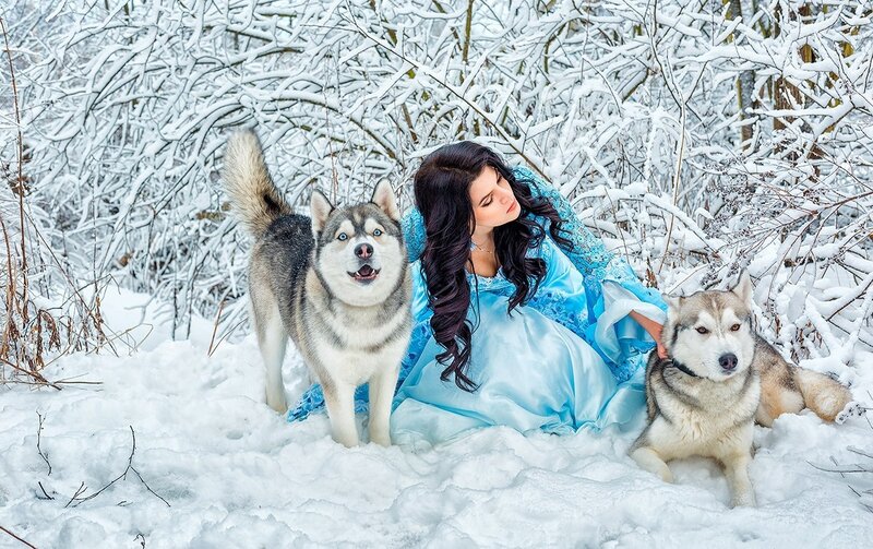 Woman with Two Huskies — Blue, Serene, Winter, Photograph, Dog