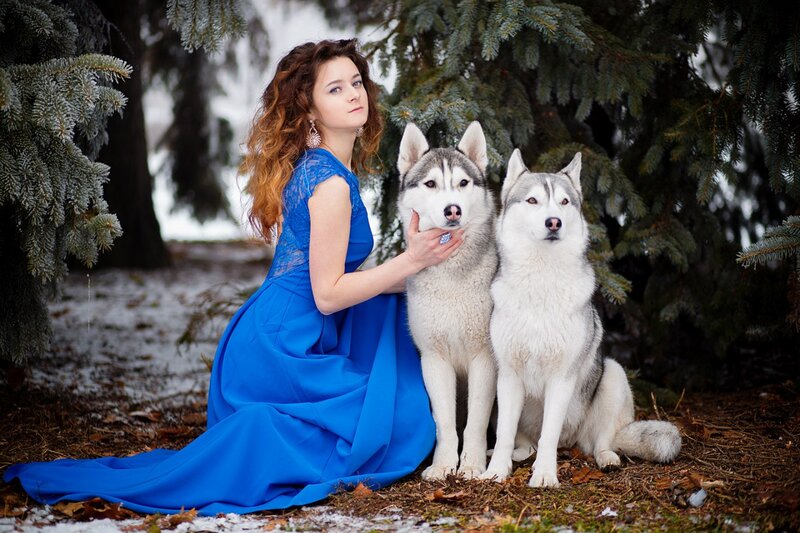 Woman with Two Huskies — Blue, Serene, Winter