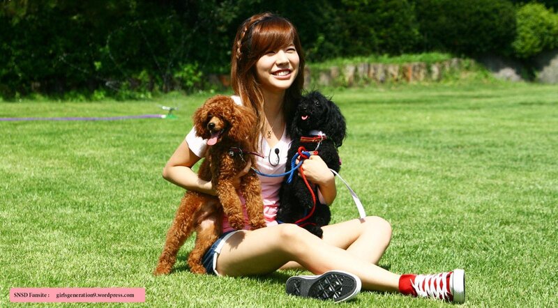 woman with two poodles in park