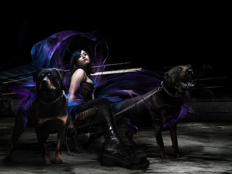 woman with two rottweilers