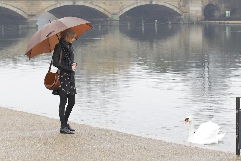 Woman with umbrella by swan