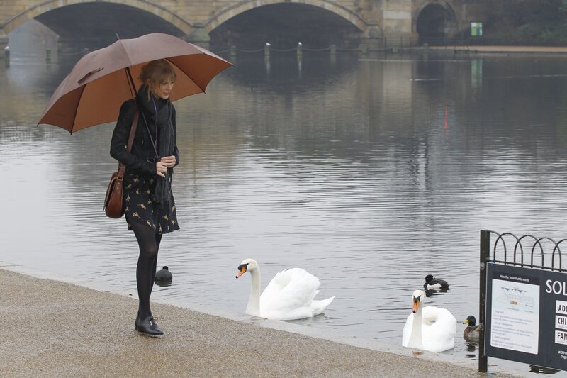 Woman with umbrella by swans