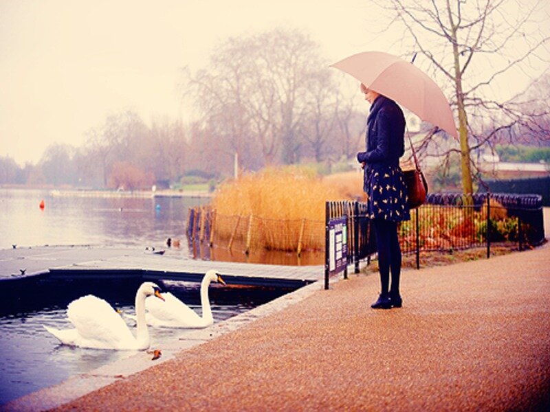Woman with Umbrella by Swans — White