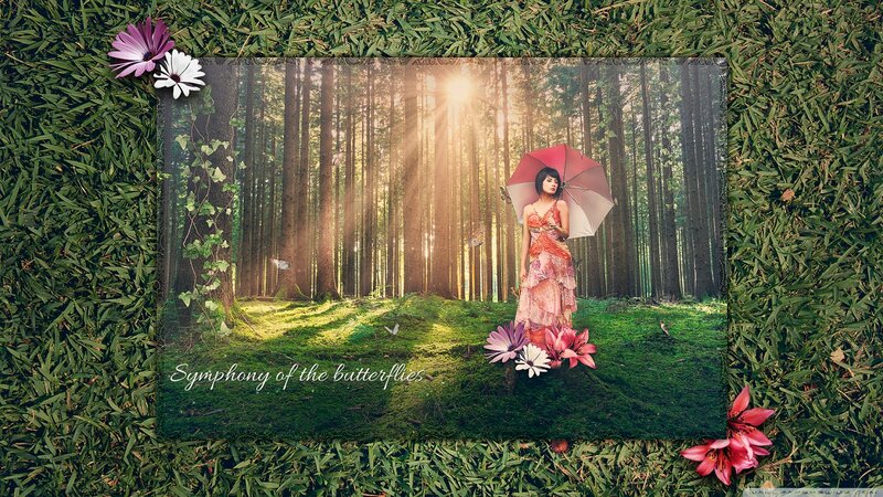 Woman with Umbrella in Forest — Green, Serene, Afternoon
