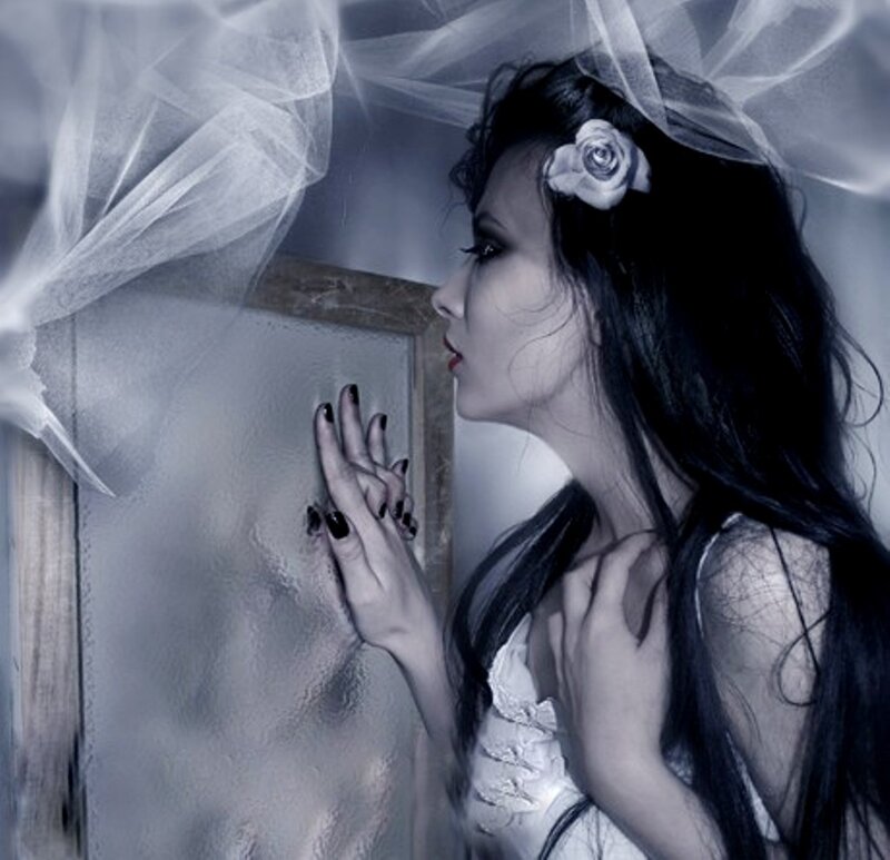 Woman with Veil and Rose