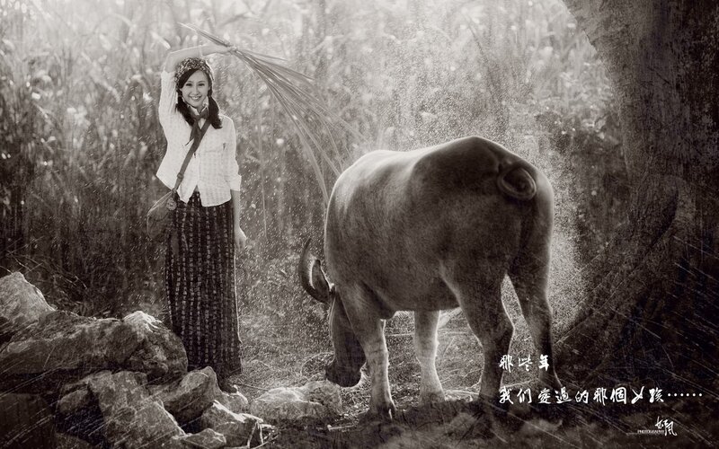 woman with water buffalo