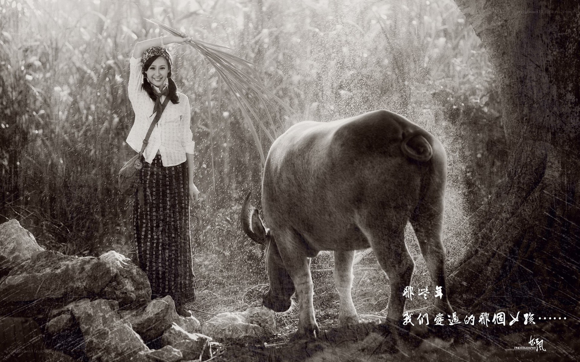 woman with water buffalo