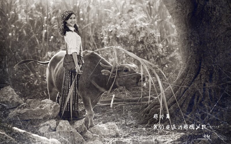woman with water buffalo