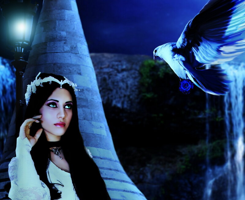 Woman with White Bird — Blue, Dramatic
