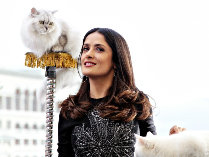 Woman with White Cats — Calm