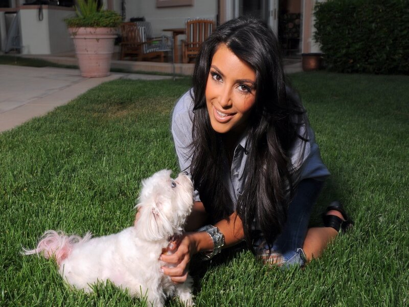 Woman with White Dog — Green, Calm, Afternoon, Photograph