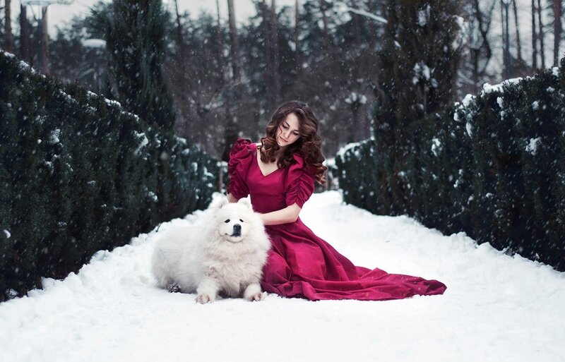 Woman with White Dog — Serene, Winter, Photograph, Snow, Hedge