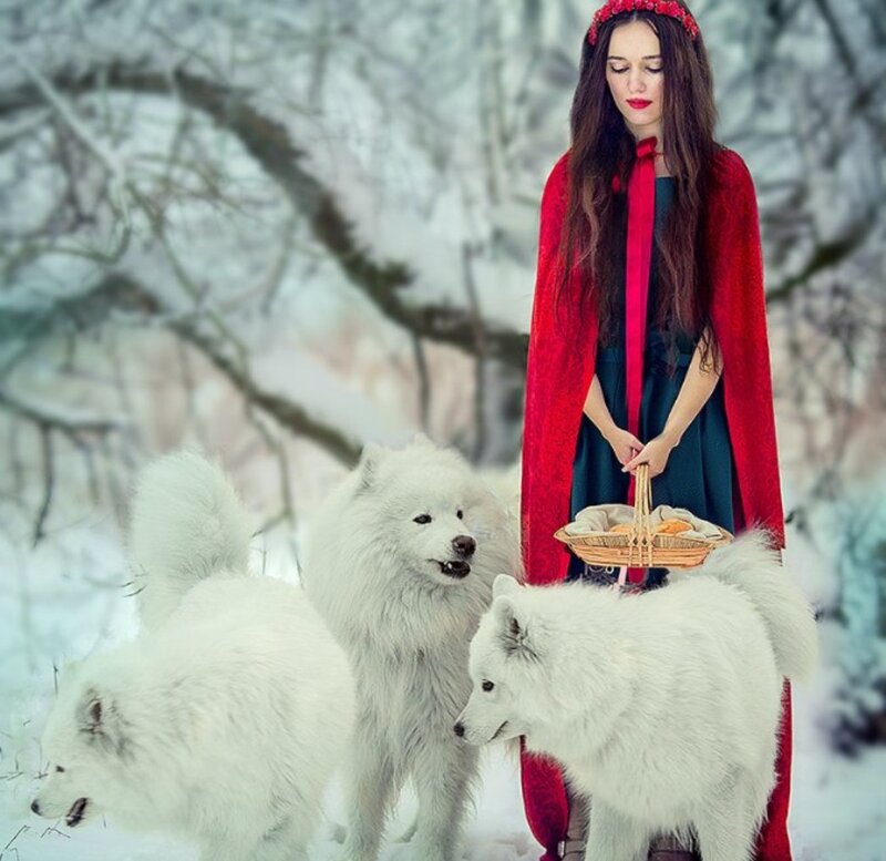 Woman with White Dogs — Serene, Winter
