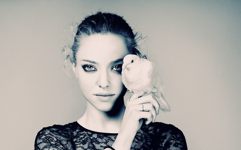 woman with white dove