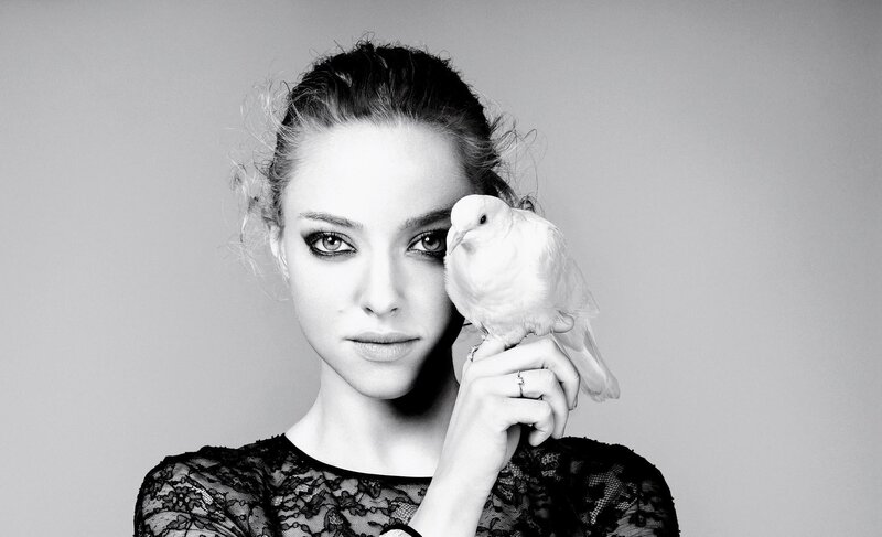 woman with white dove
