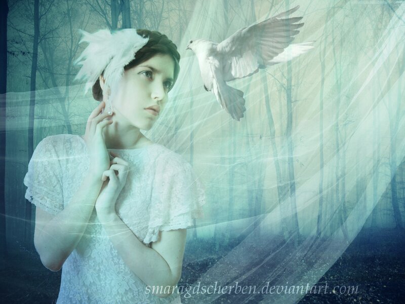 Woman with White Dove — Ethereal