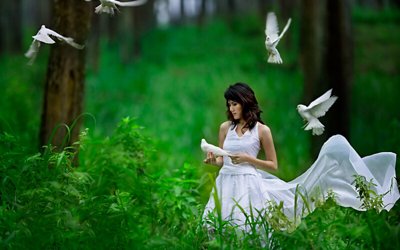 Woman with White Doves — Serene, Afternoon