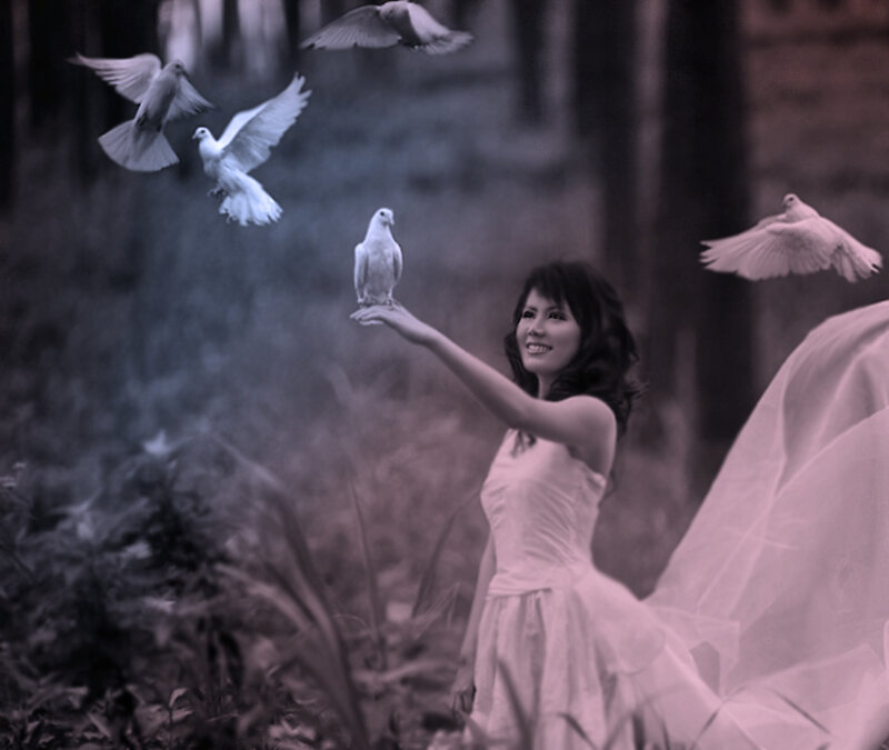 Woman with White Doves — Serene