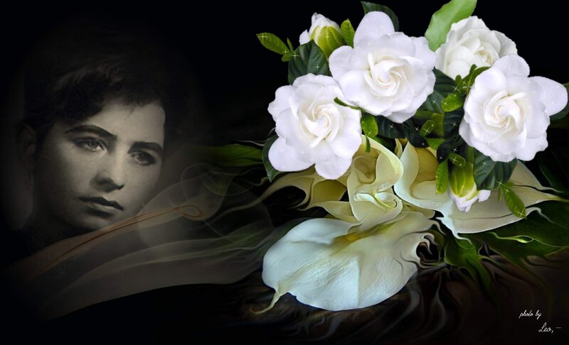 Woman with White Flowers — Dramatic
