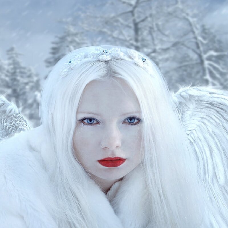 Woman with White Hair — Cold, Winter, Digital Art, Wings