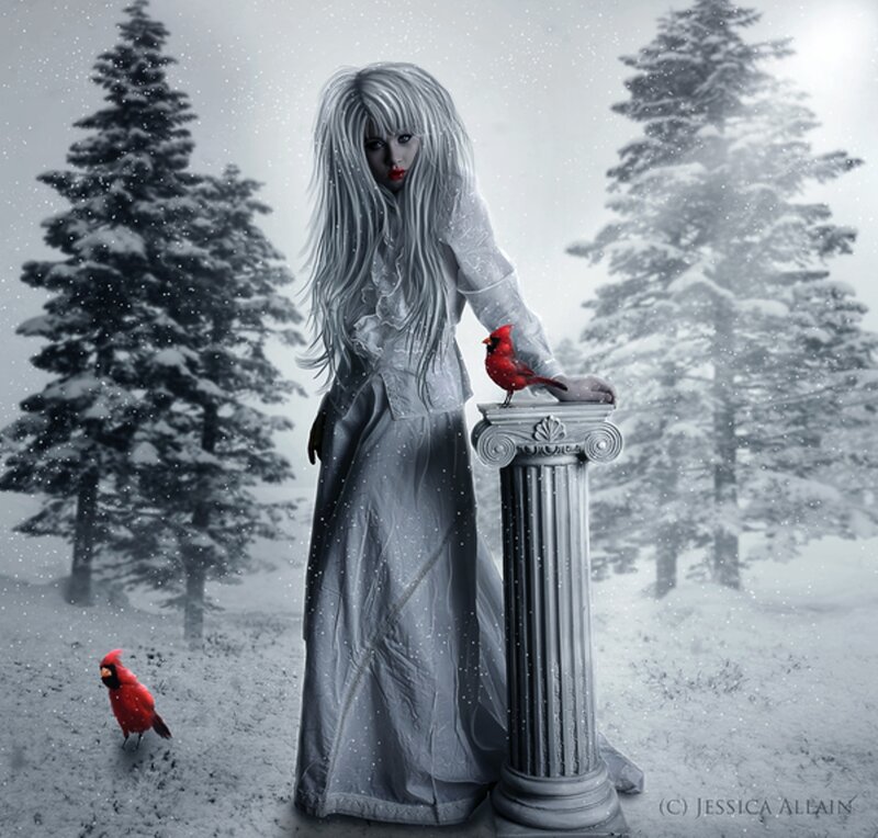 Woman with White Hair — Dramatic, Winter, Digital Art, Cardinal Birds