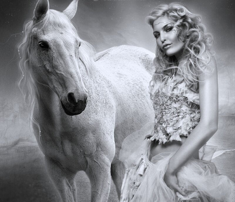 Woman with White Horse — Black, Dramatic, Digital Art