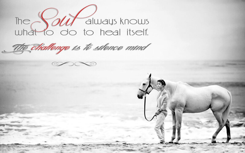 Woman with White Horse — Black, Serene, Photograph, Beach