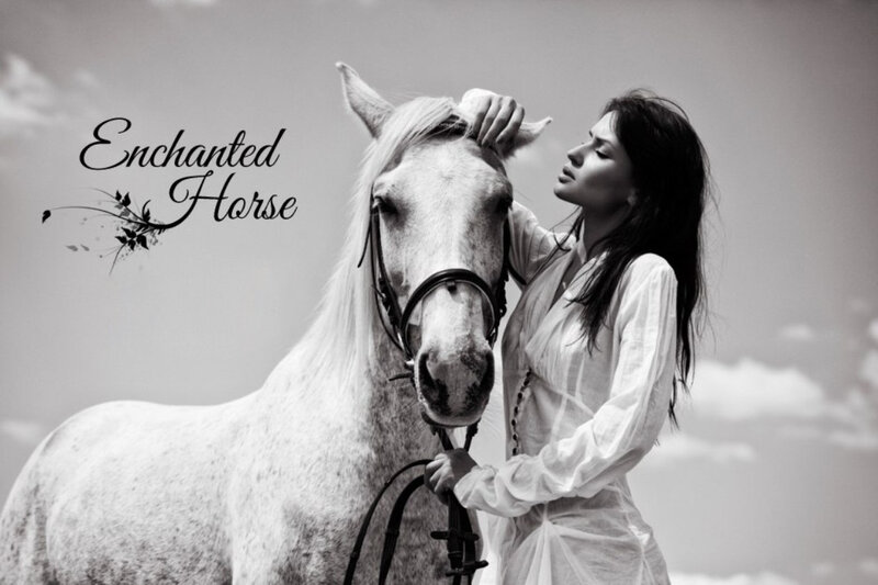 Woman with White Horse — Black, Serene, Photograph, Sky