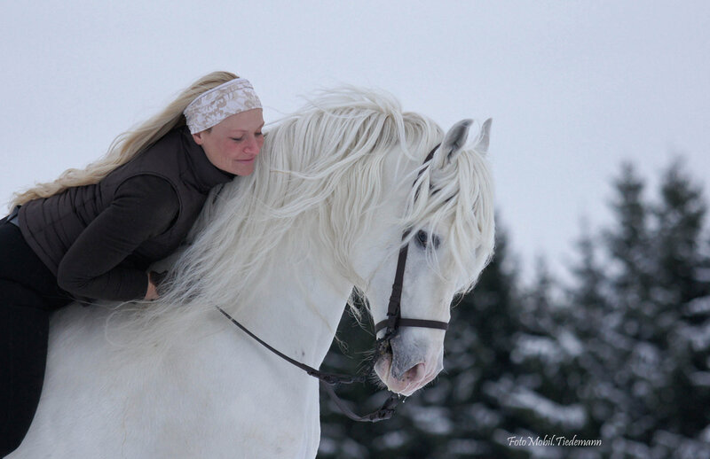 Woman with White Horse — Calm