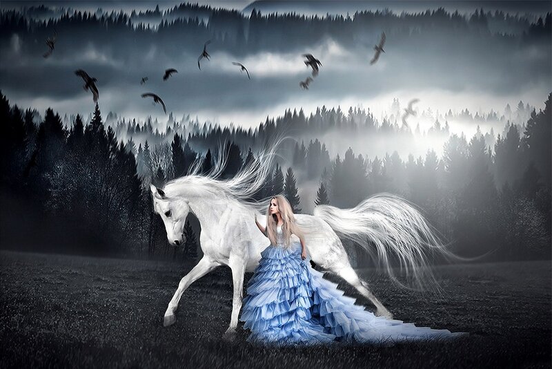 Woman with White Horse — Dramatic, Digital Art, Birds