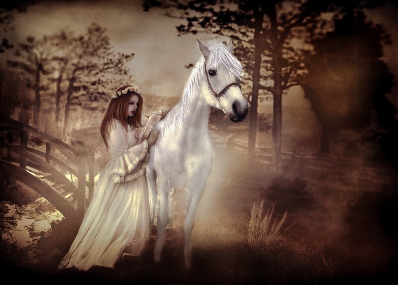 Woman with White Horse — Dramatic, Sunset, Digital Art