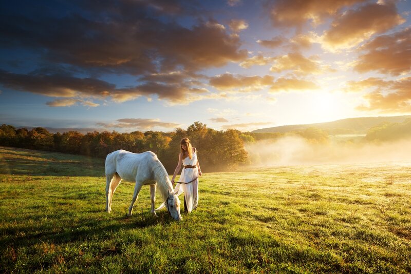 Woman with White Horse — Green, Serene, Sunrise