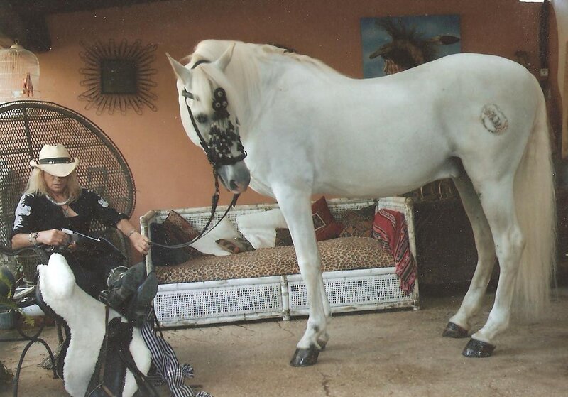 Woman with white horse indoors