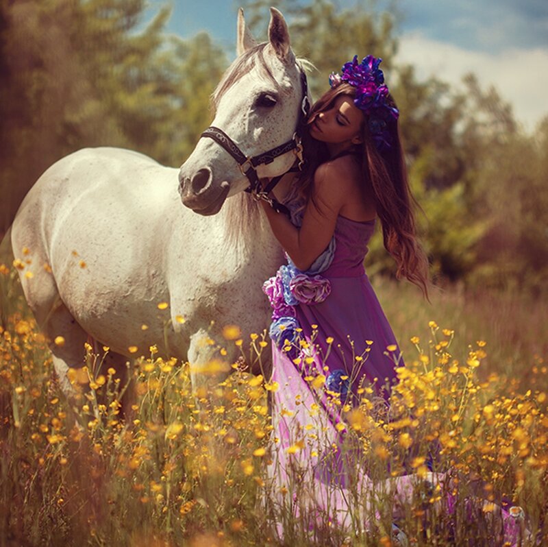 Woman with White Horse — Purple, Serene, Afternoon
