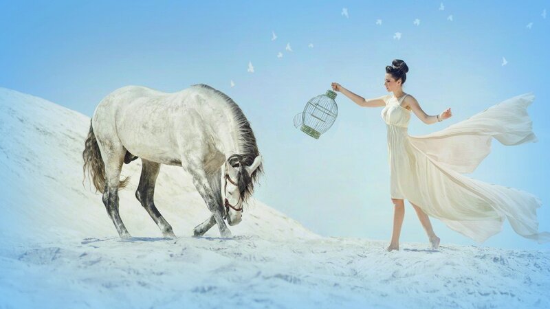 Woman with White Horse — Serene, Afternoon, Digital Art, Birdcage