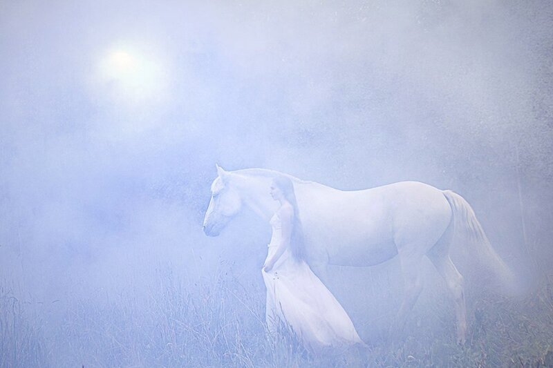 Woman with White Horse — Serene, Photograph, Grass
