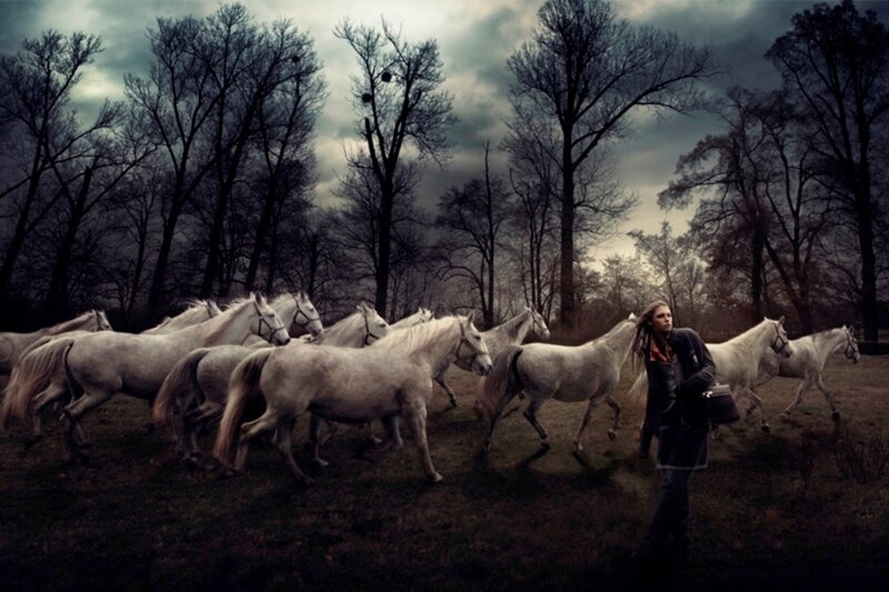 woman with white horses