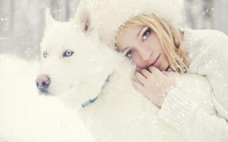 Woman with White Husky — Serene