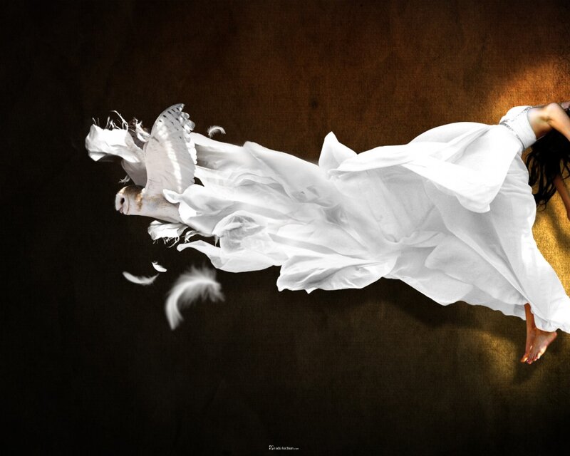 woman with white owl in flight