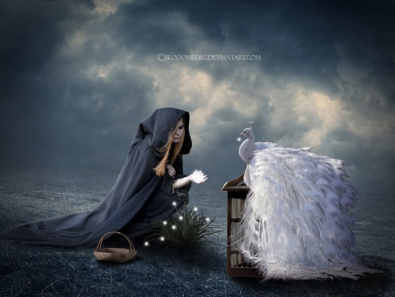 Woman with White Peacock — Gray, Dramatic