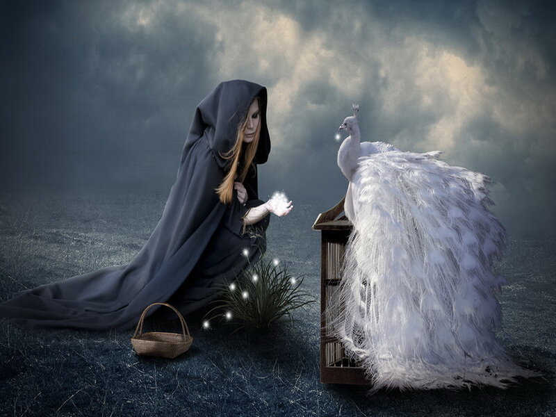Woman with White Peacock — Gray