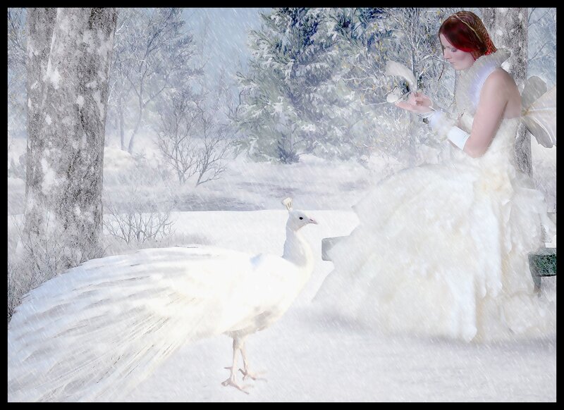 Woman with White Peacock — Serene, Winter