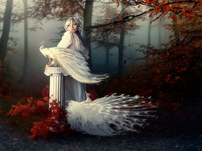 Woman with White Peacocks — Mystical, Autumn