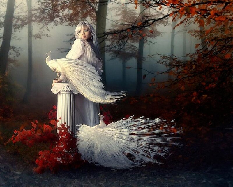 Woman with White Peacocks — Mystical