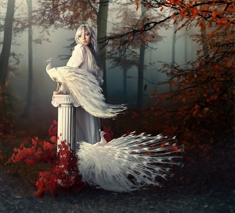 Woman with White Peacocks