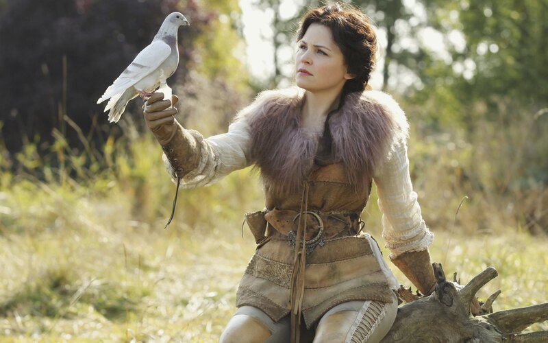 Woman with White Pigeon
