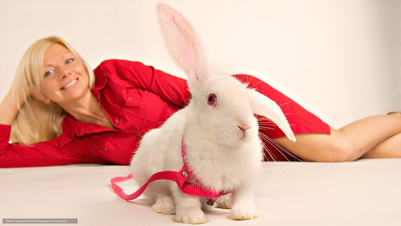 woman with white rabbit