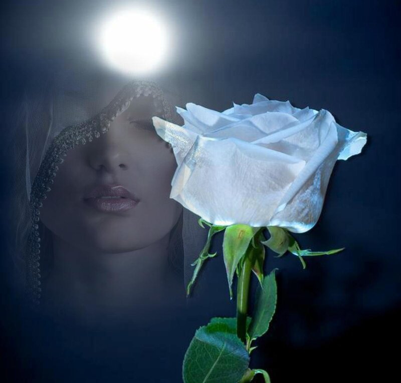 Woman with White Rose — Dramatic, Night
